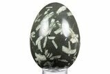 Polished Chinese Writing Rock Egg - California #334170-1